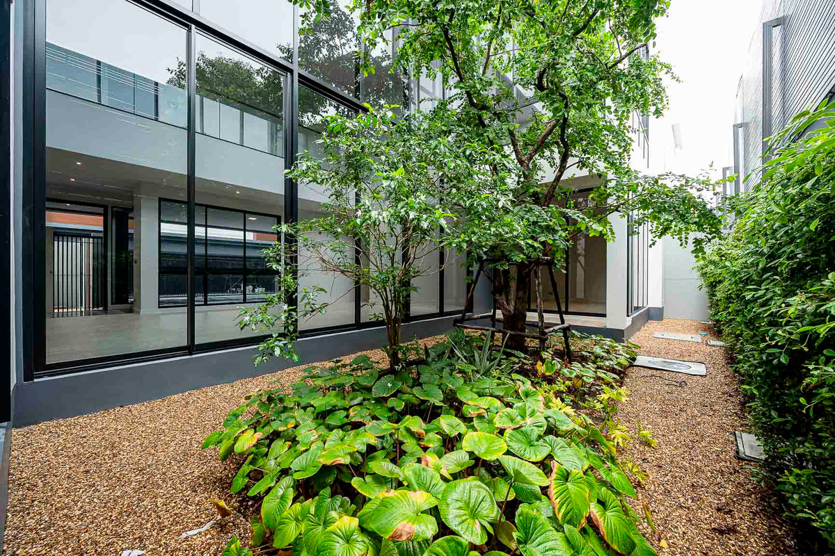 Bugaan Krungthep Kreetha size L: 107sqwah 655 sqm. 4bed 4.5bath 65,000,000 Am: 0656199198