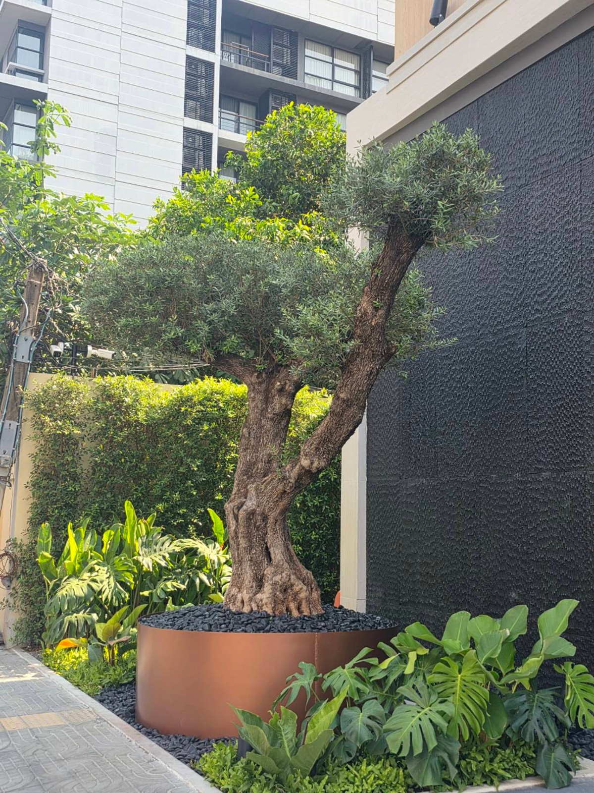 Via 61 Penthouse: 3bed 3.5bath 155.76sqm. 37,700,000 Am: 0656199198