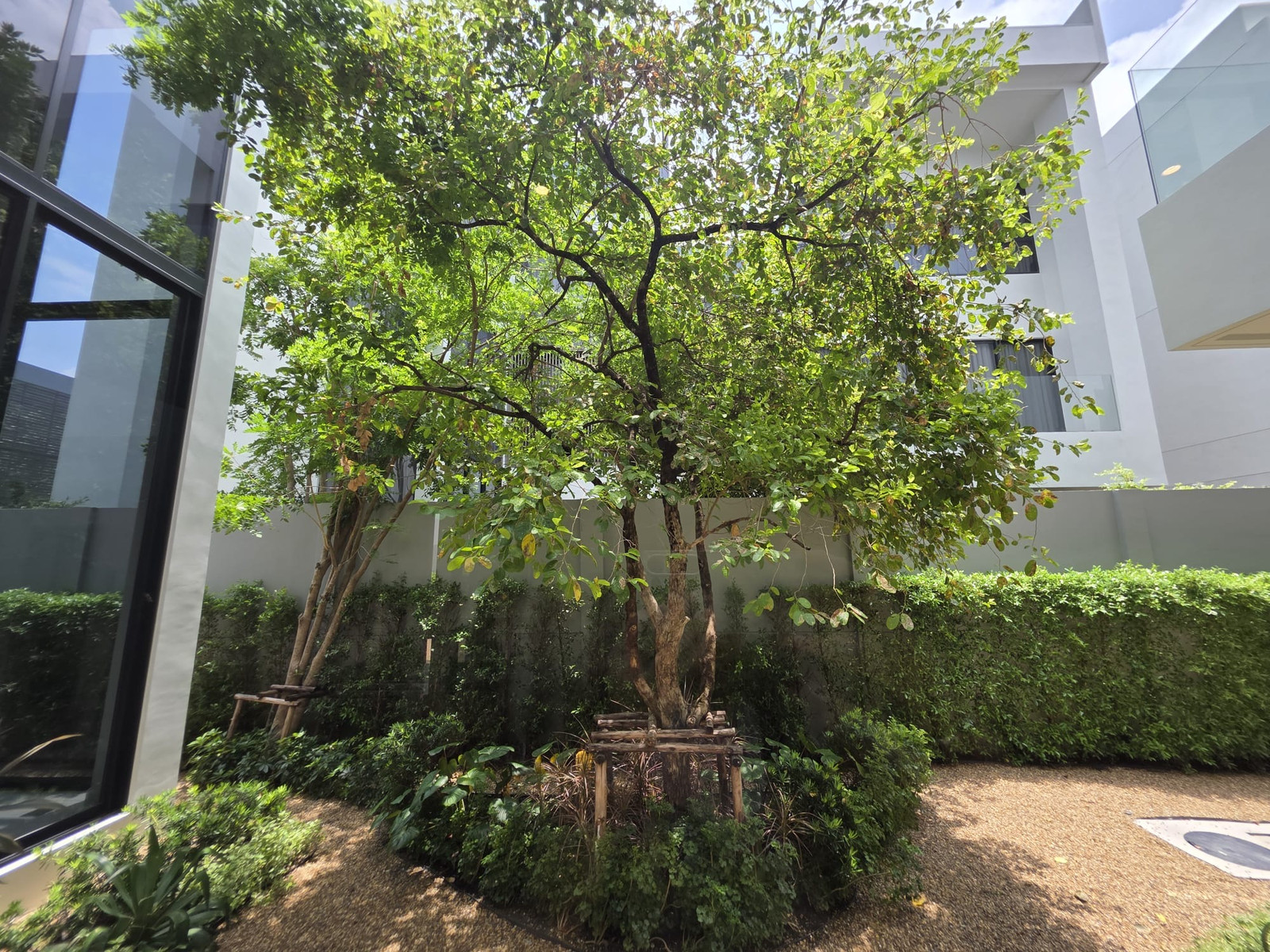 Bugaan Krungthep Kreetha size M: 110 sqwah  540 sqm. 3bed 4bath 58,900,000 Corner big land plot Am: 0656199198